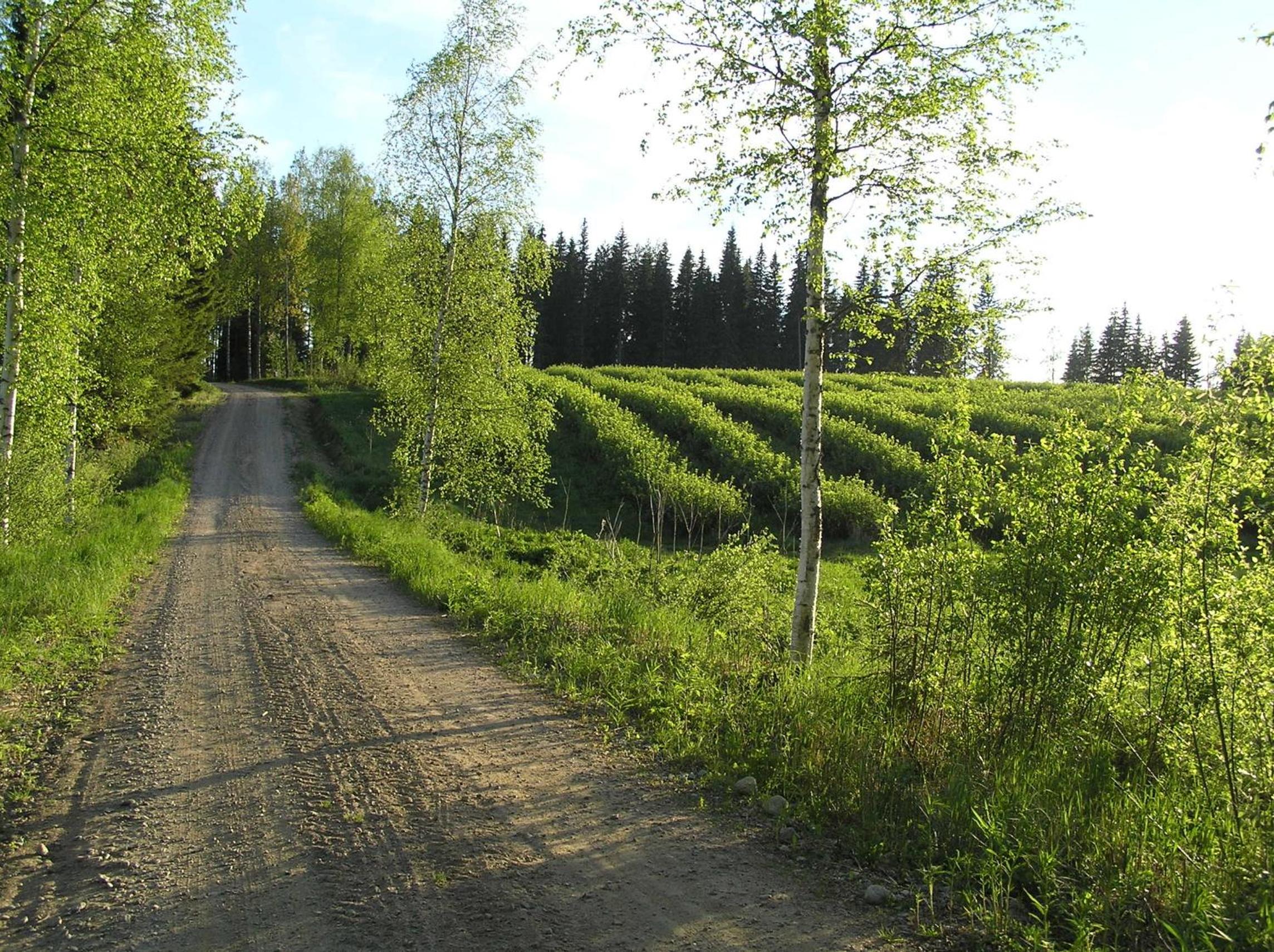 Photo 23
