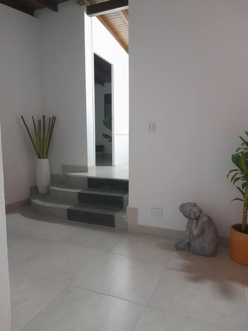 Tribu Medellin House