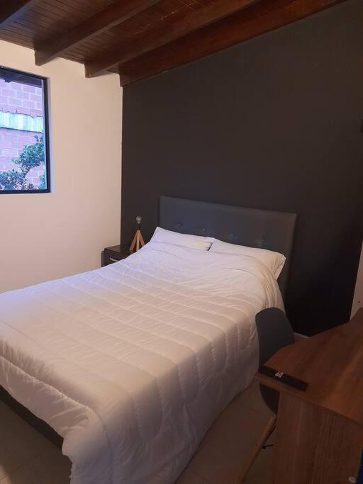 Tribu Medellin House