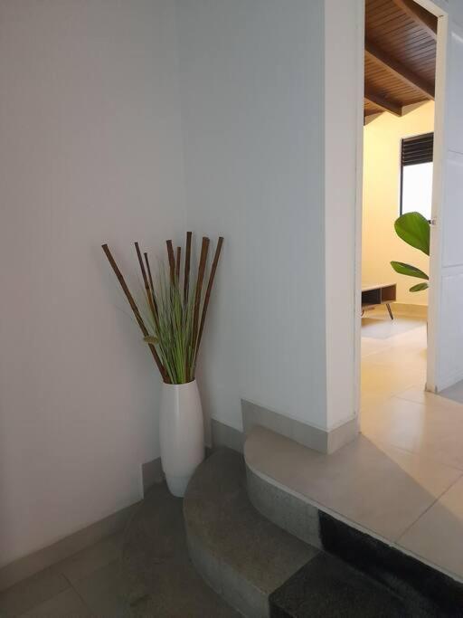 Tribu Medellin House