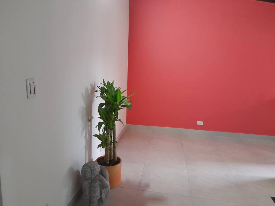 Tribu Medellin House