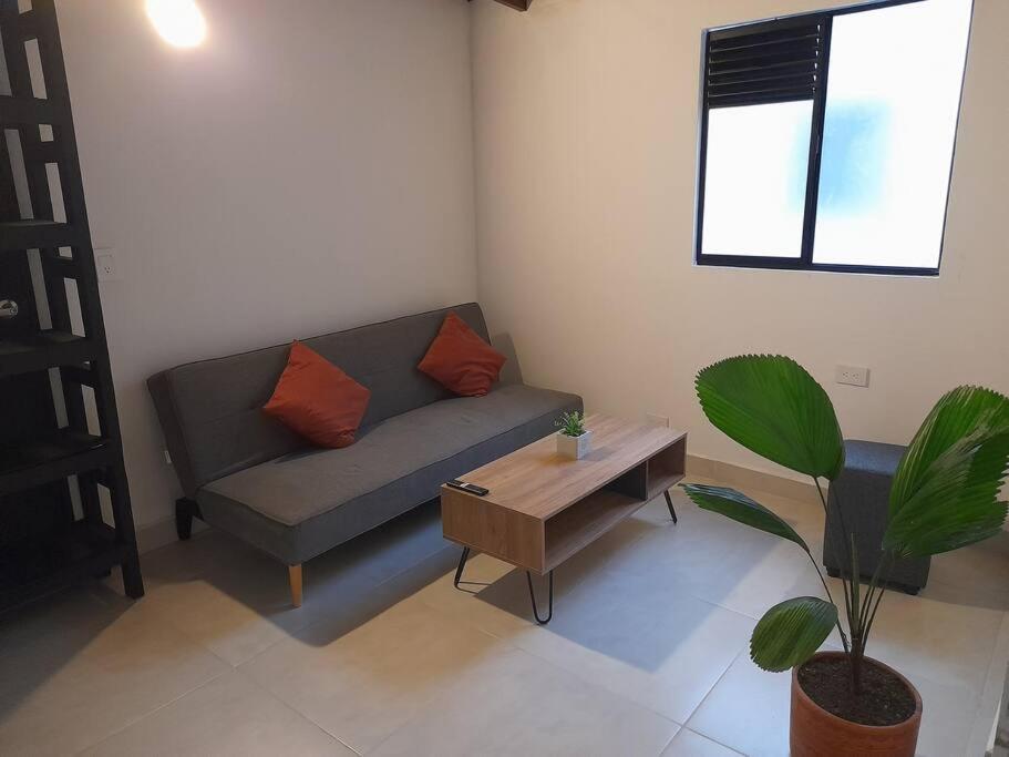 Tribu Medellin House