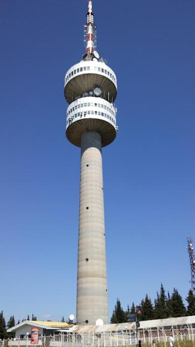 APARTAMENT-DAMO