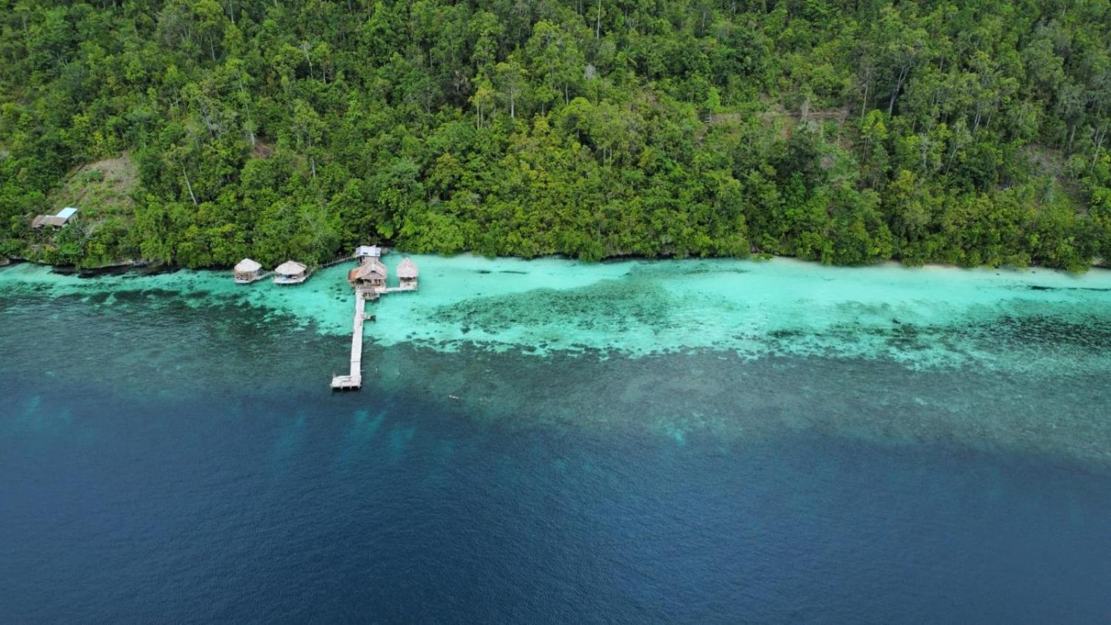 Yenbainus homestay