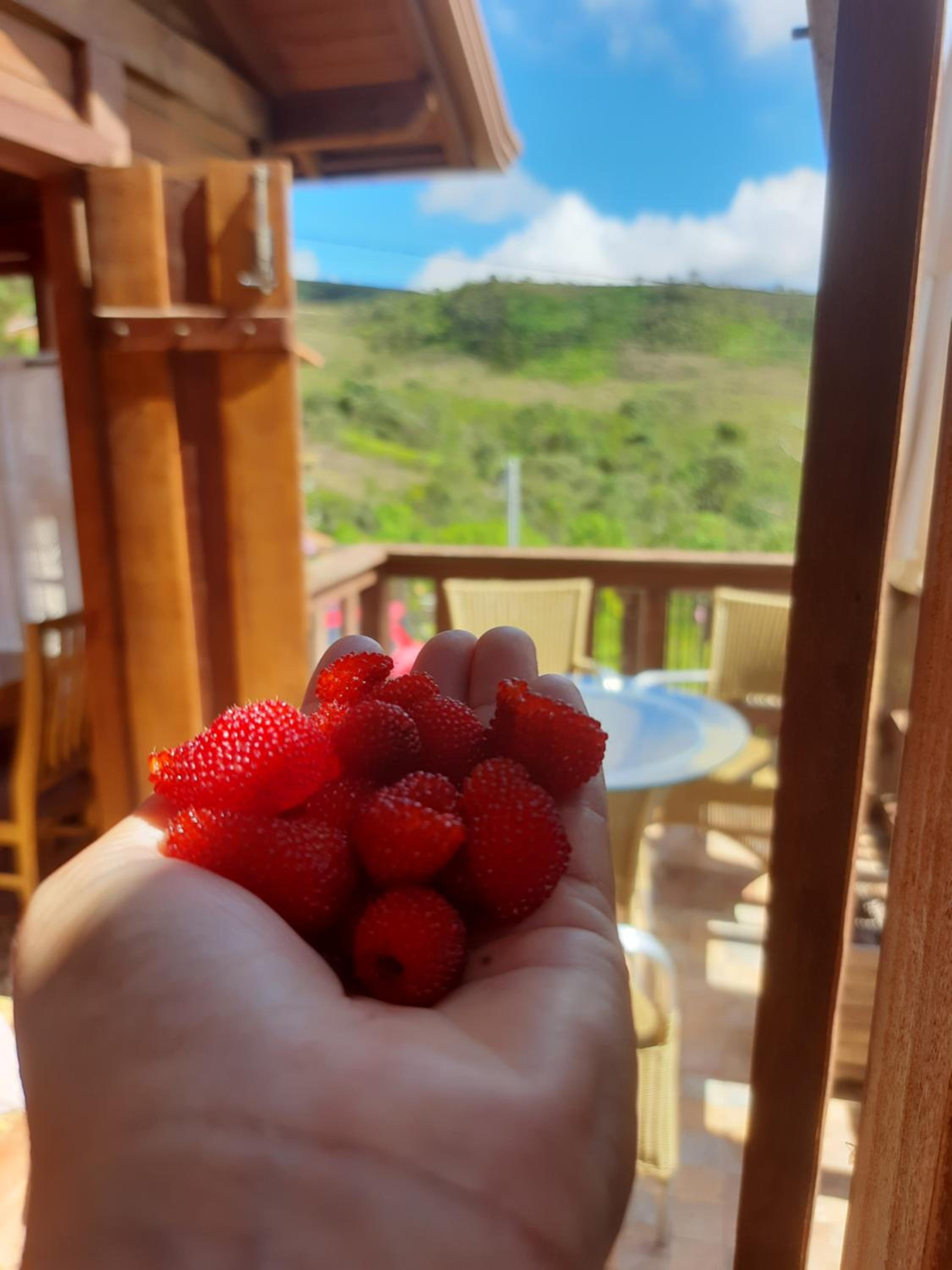 Chalé de Lavras
