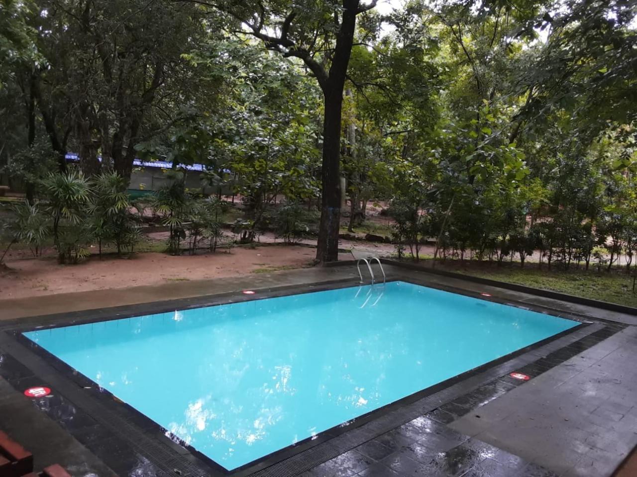 Yuhibuhi Forest Resort view 5