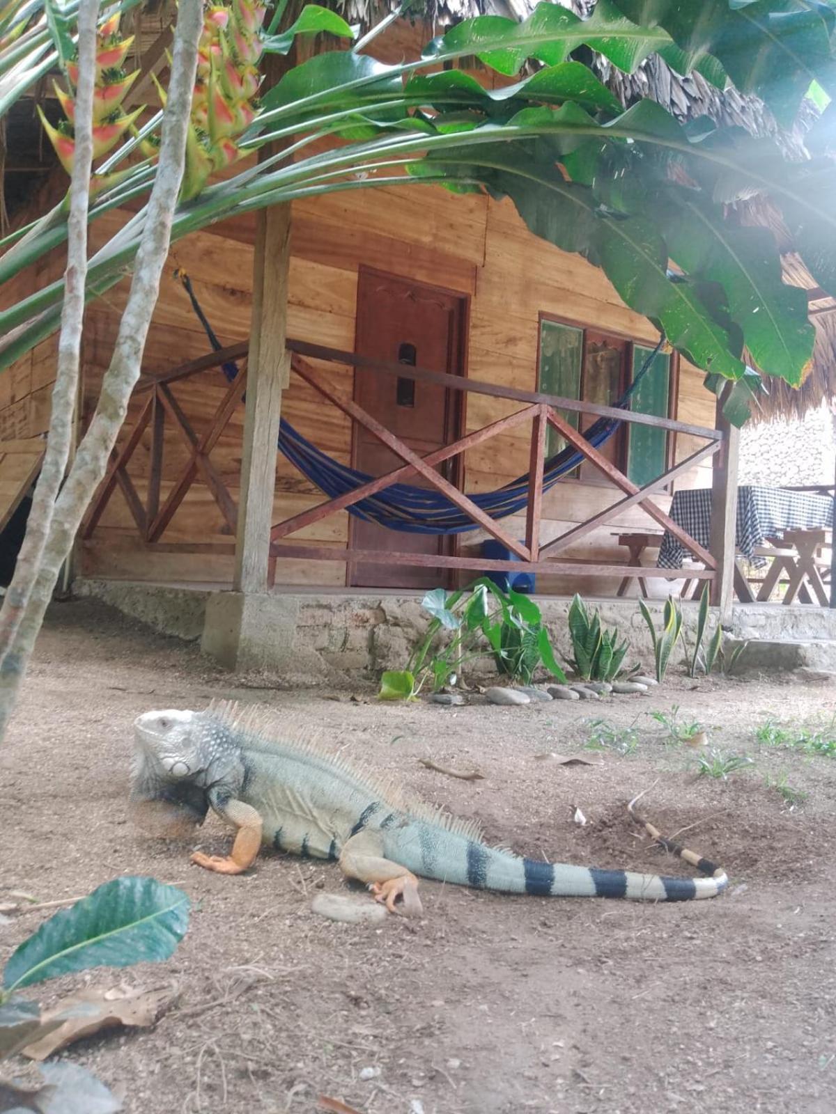 ECOCABAÑAS DIOSA JAGUAR tayrona