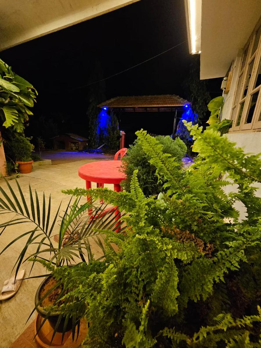 Photo 34