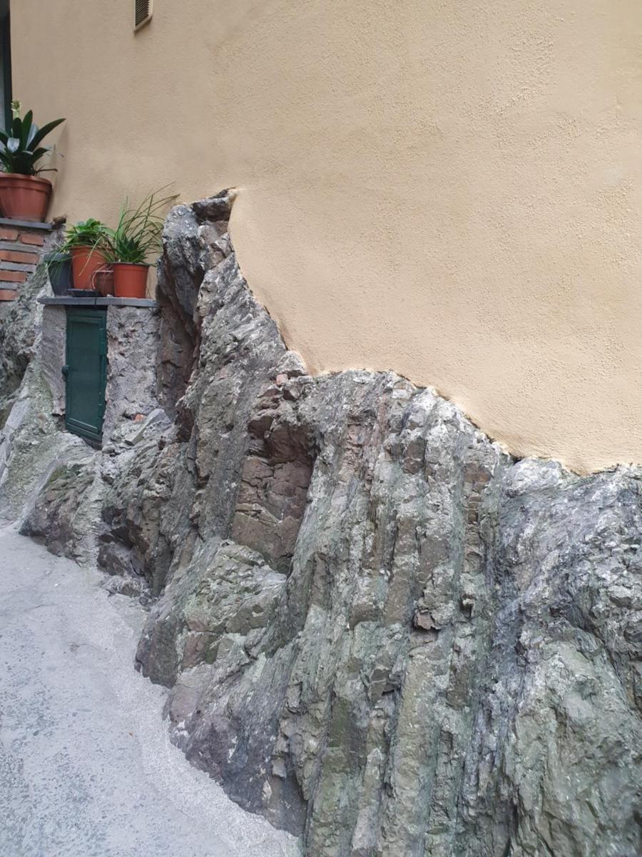 LA CASA DI IA photo 4