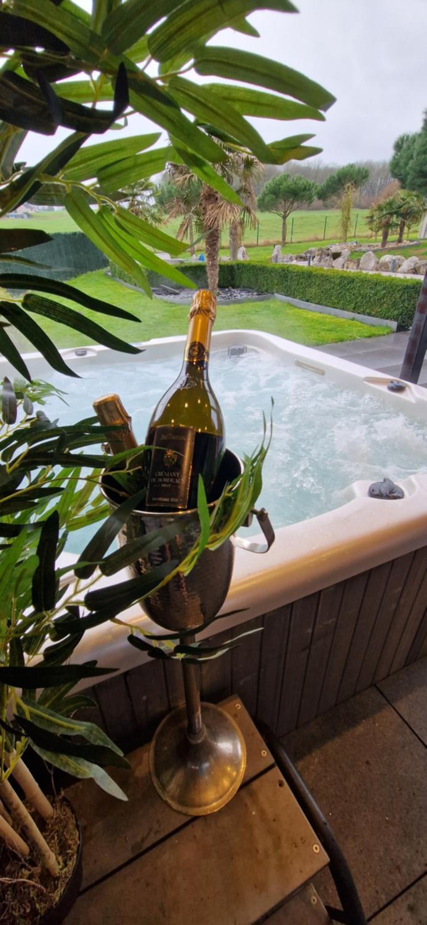 LA VILLA DE SENY , villa de charme avec jardin ,Piscine nature, jacuzzi , petanque, fitness, billard,ping pong,