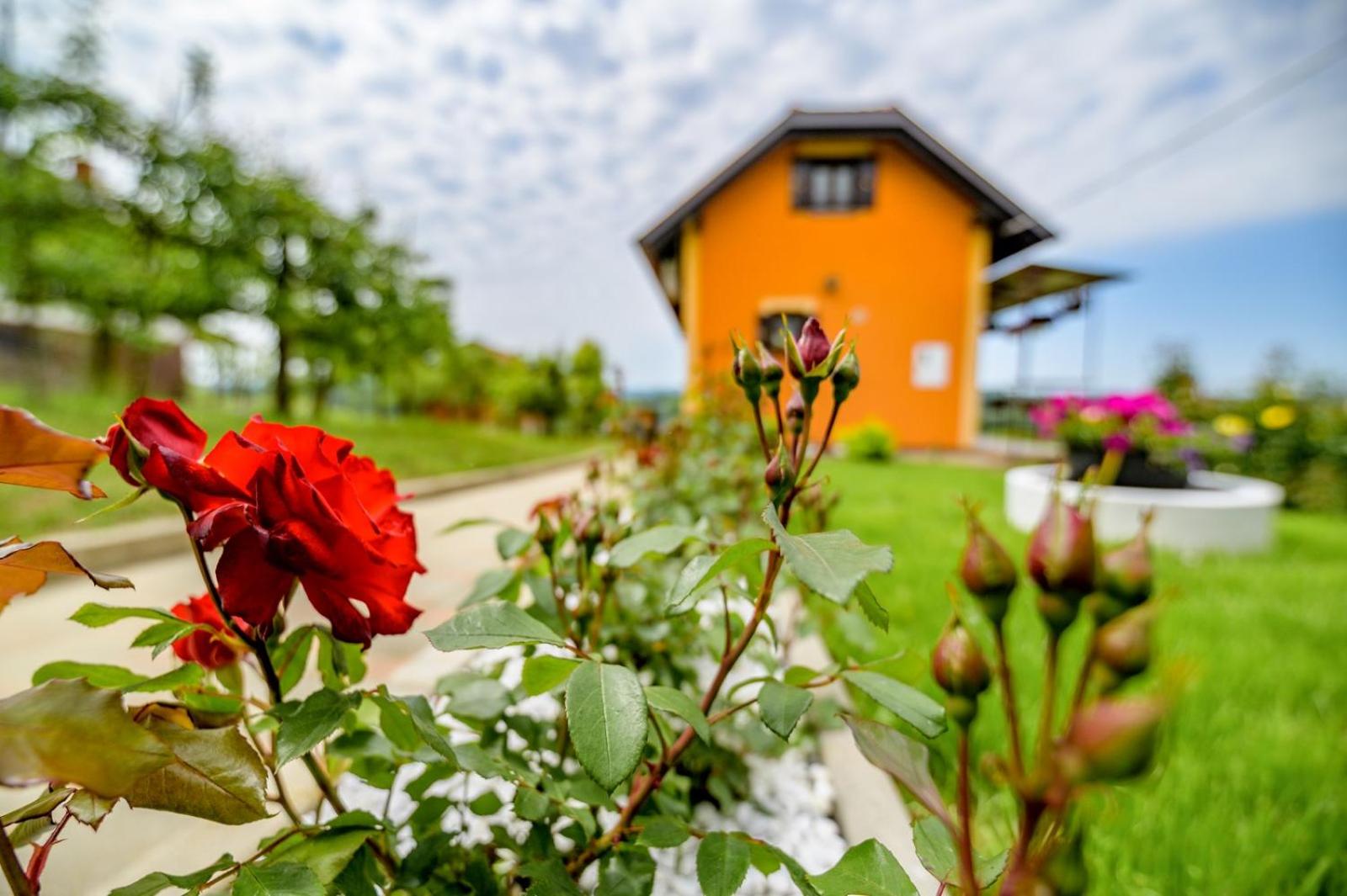 StellaLuca Resort