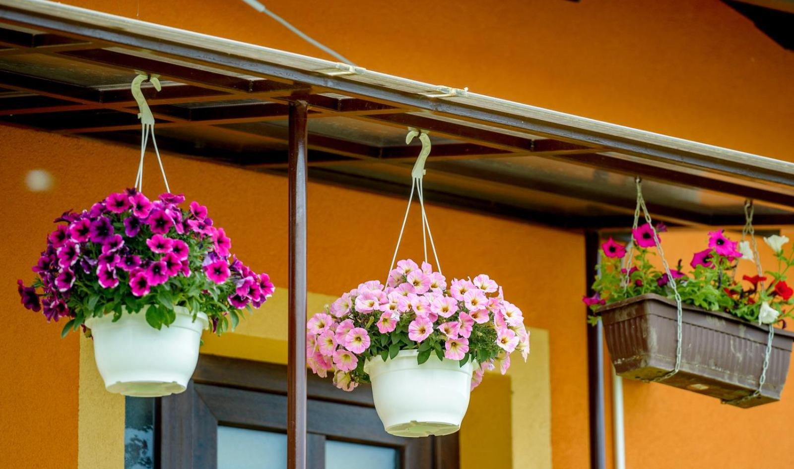 StellaLuca Resort