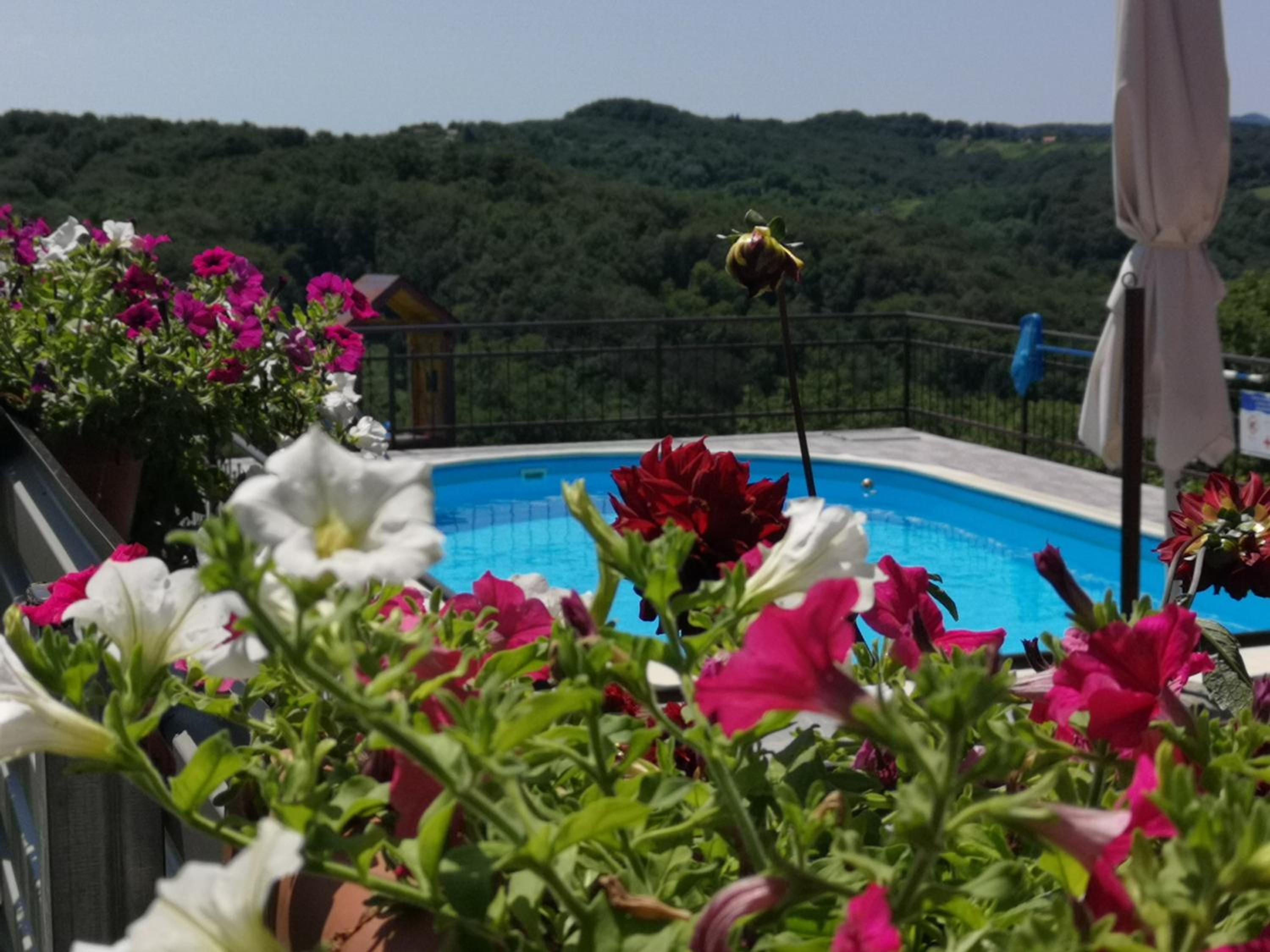 StellaLuca Resort