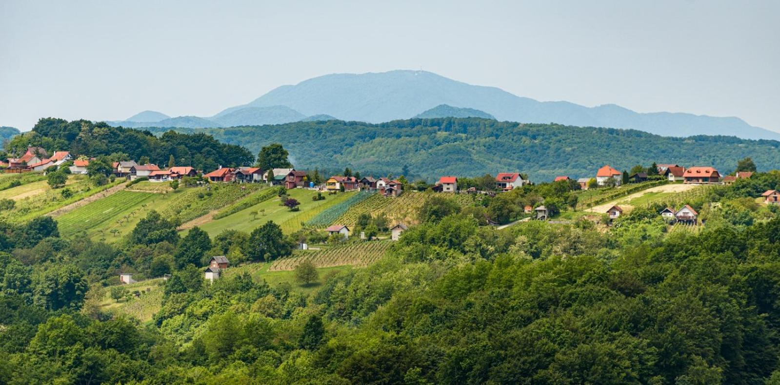 StellaLuca Resort