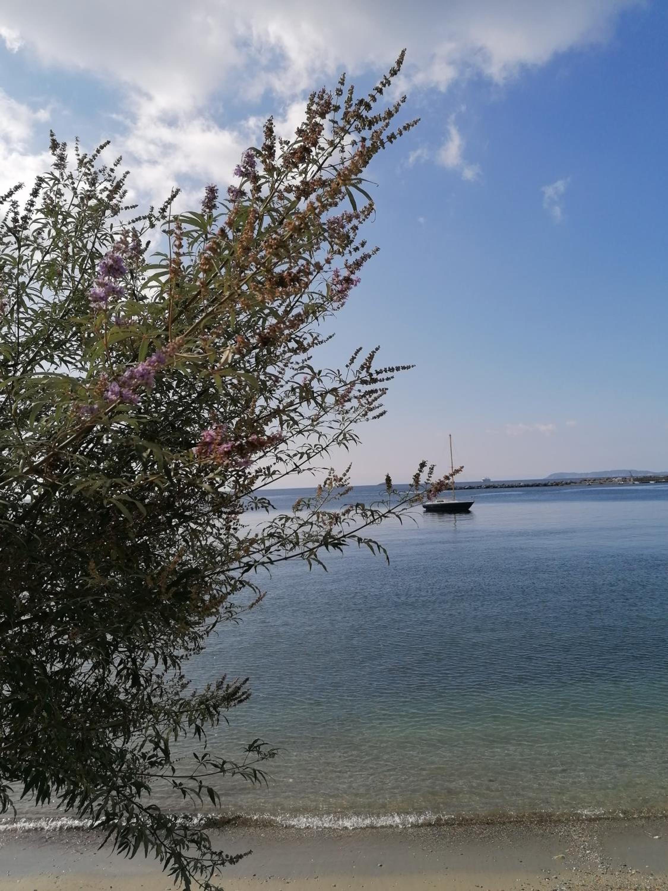 Panoramic Sea View Villa Evmenia and Harbourside Sea front apartments