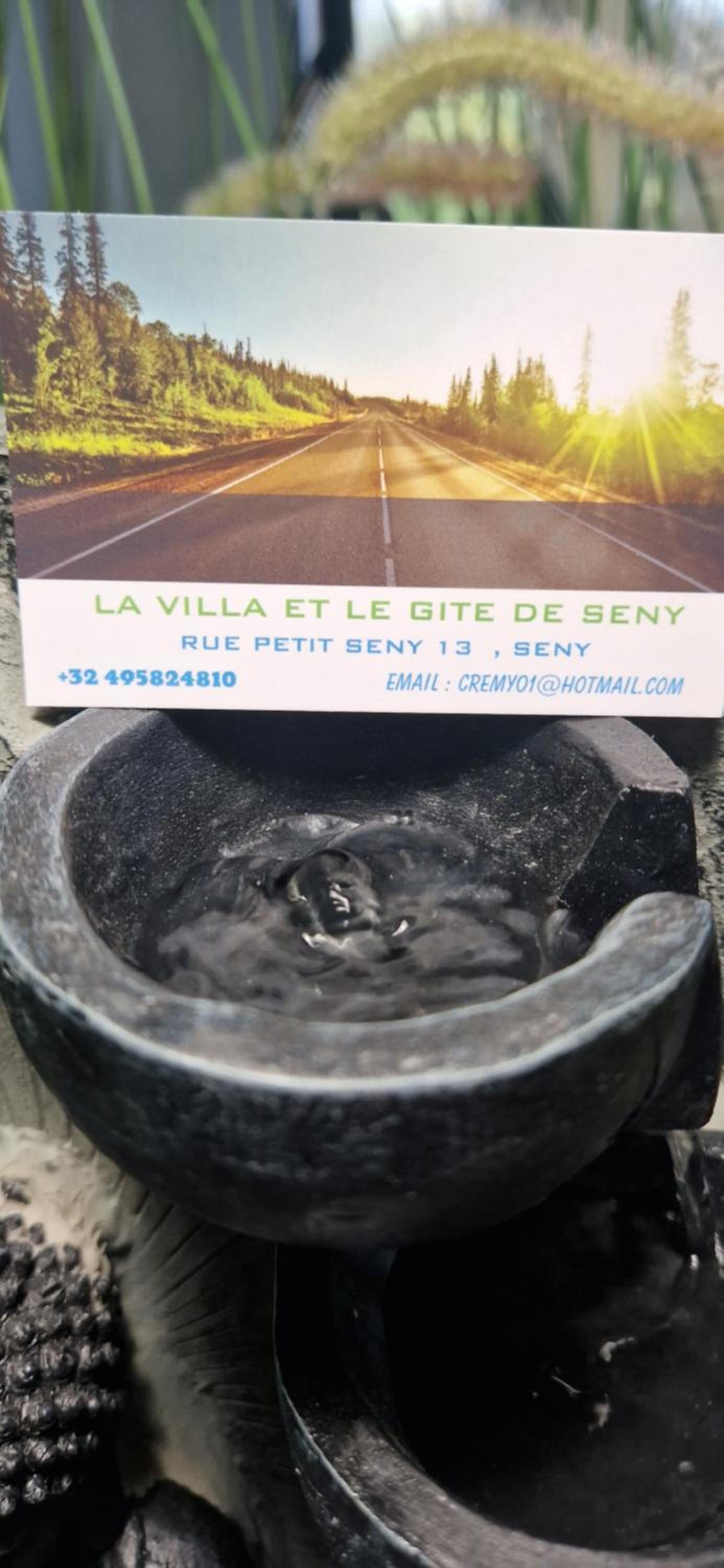LA VILLA DE SENY , villa de charme avec jardin ,Piscine nature, jacuzzi , petanque, fitness, billard,ping pong,