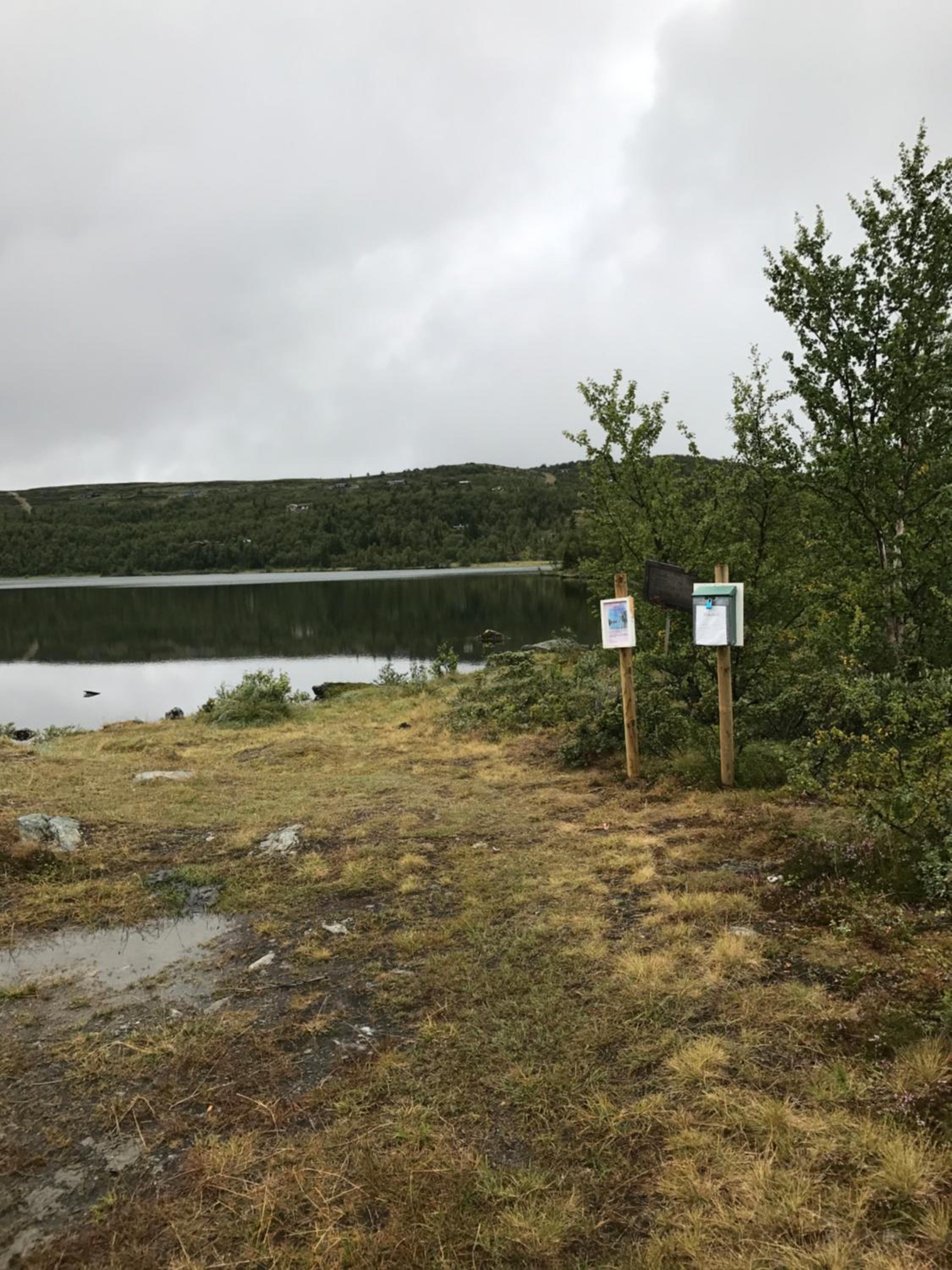 Photo 21