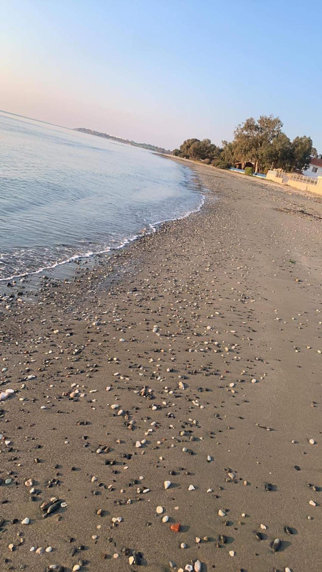 Leonidas Seaside