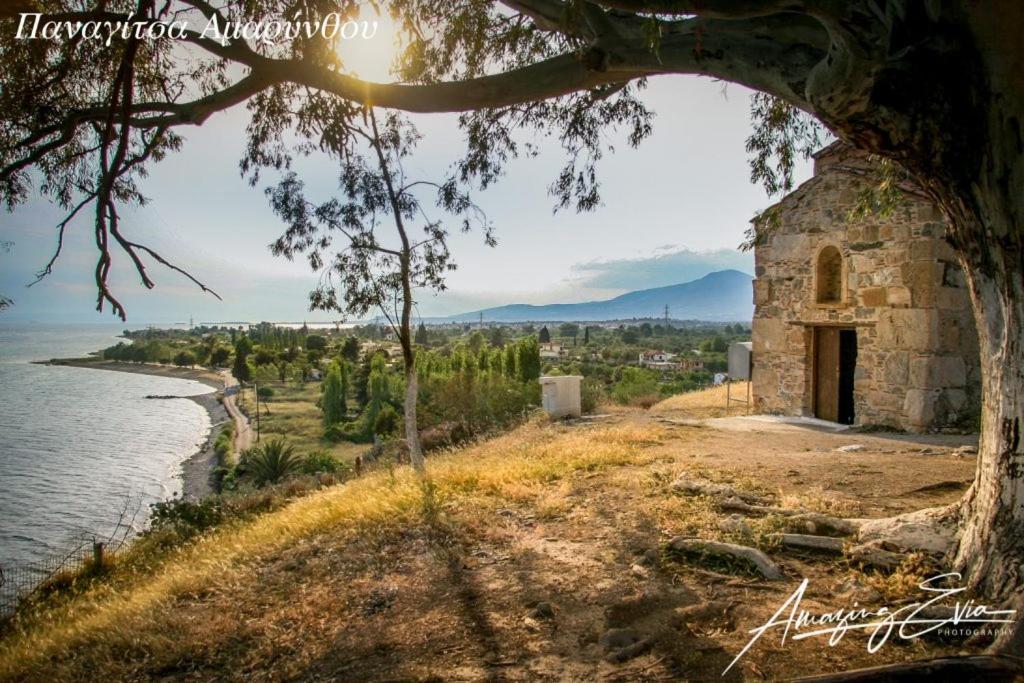 Seaside Villa AndroNikos (Evia Island)
