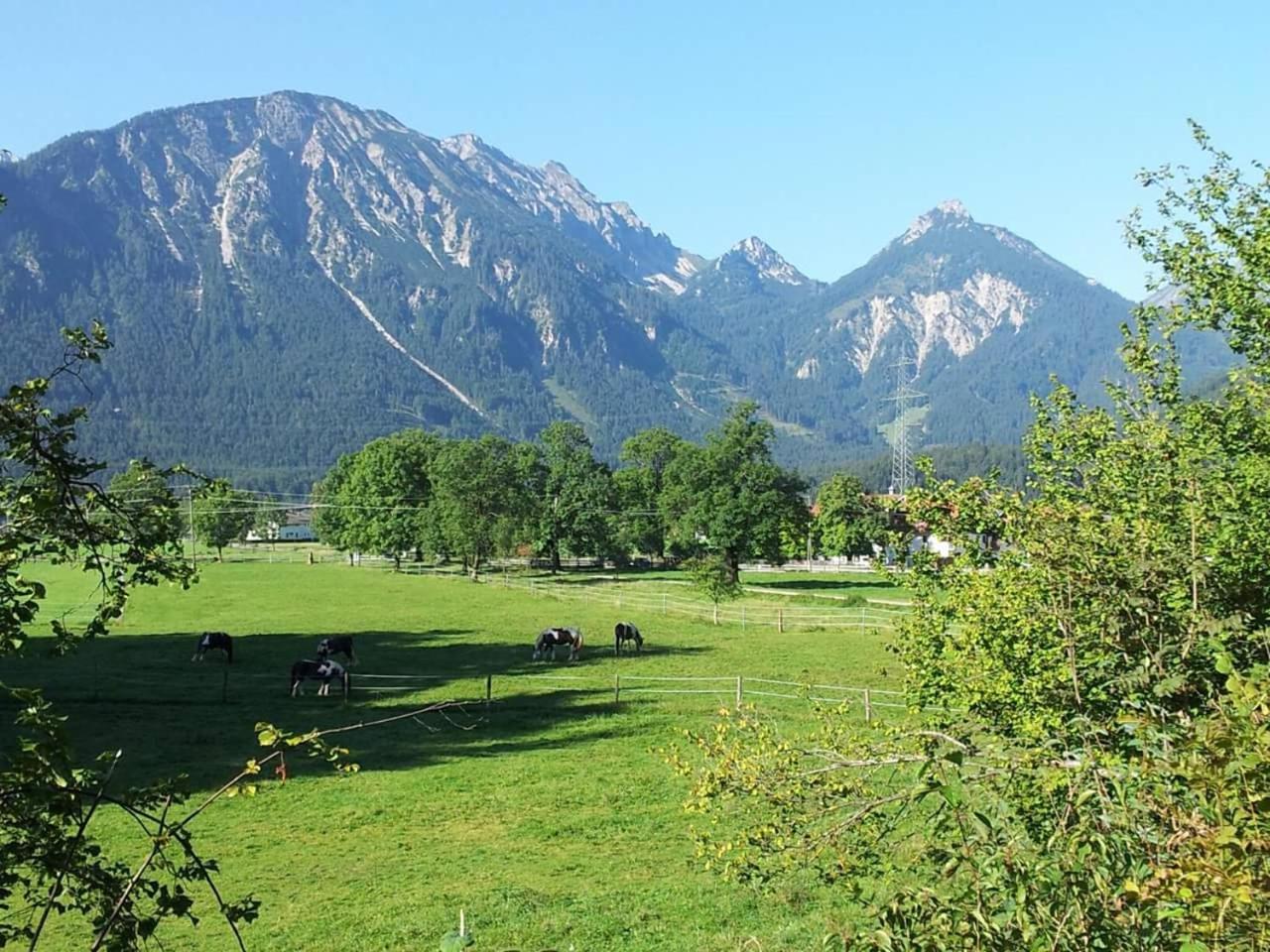 Gutshof zum Schluxen