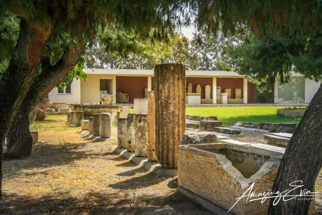 Seaside Villa AndroNikos (Evia Island)