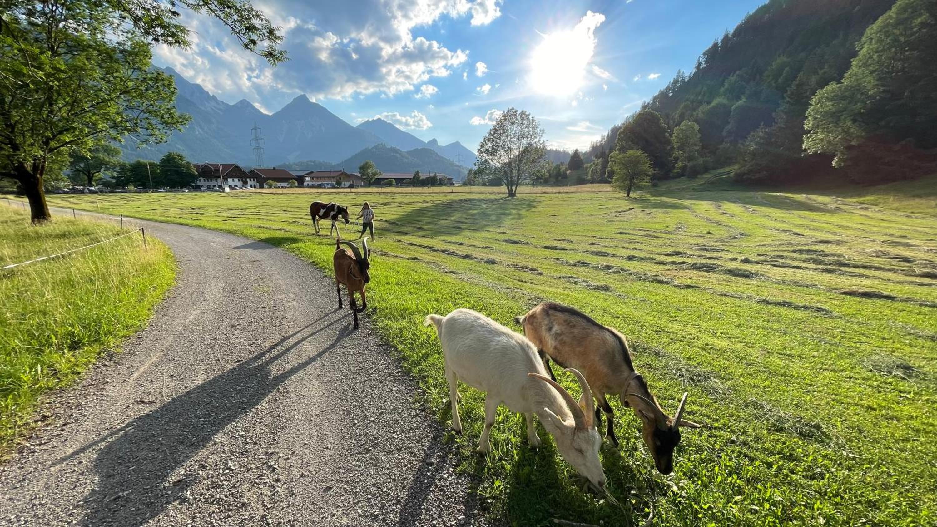 Gutshof zum Schluxen