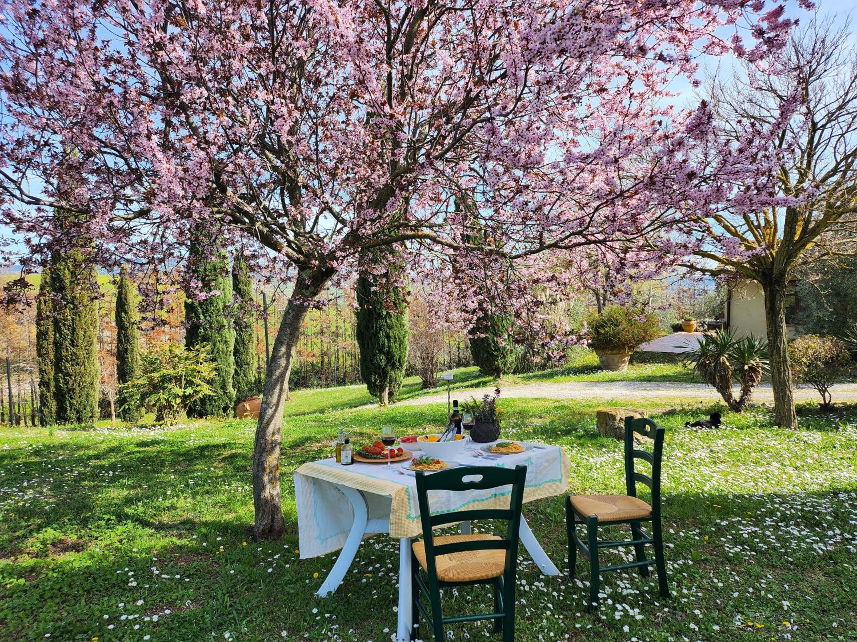Agriturismo LUCERTOLA