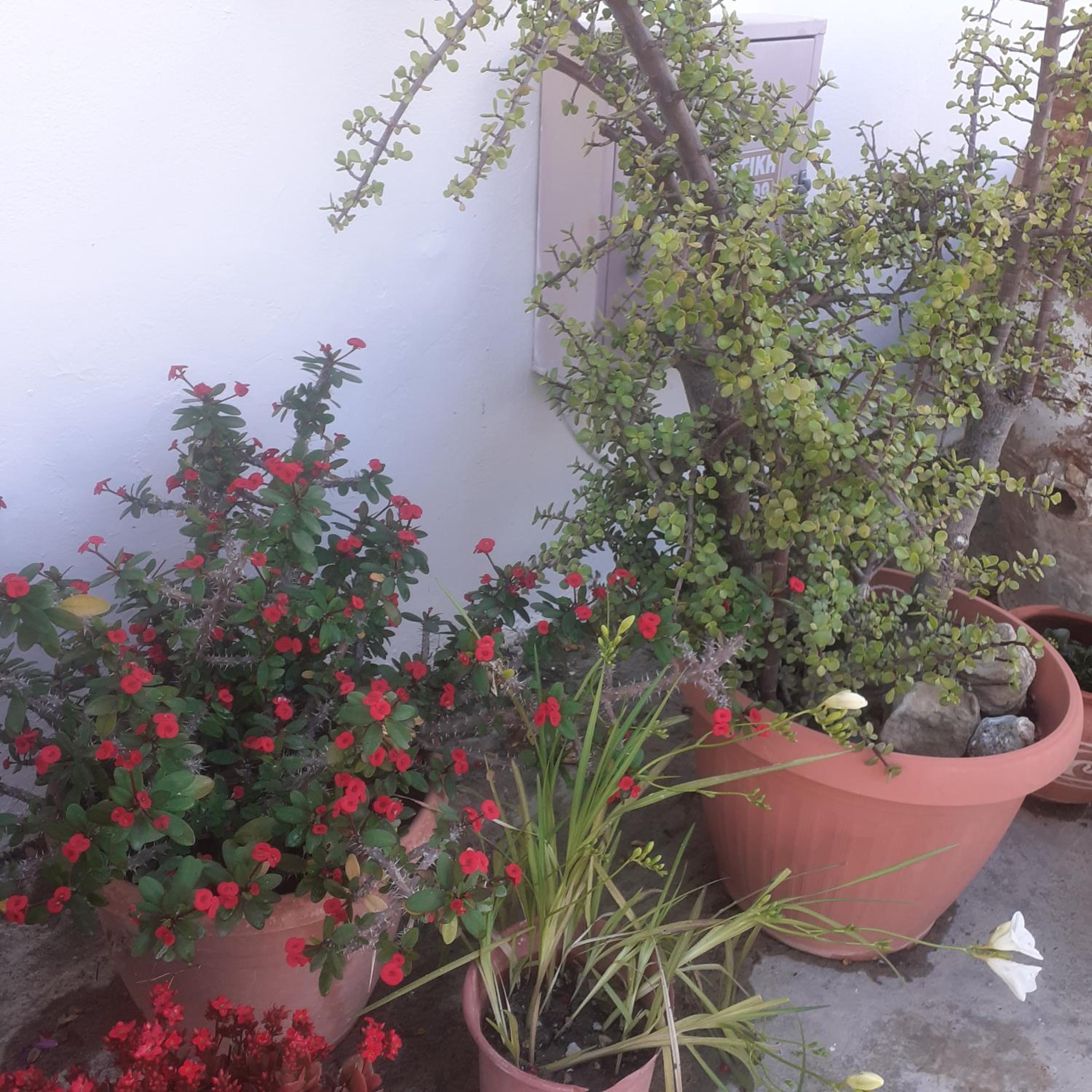 Photo 47