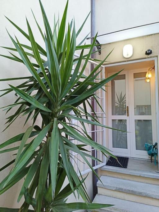 La Loggia-APP. PRIVATO in Centro view 4