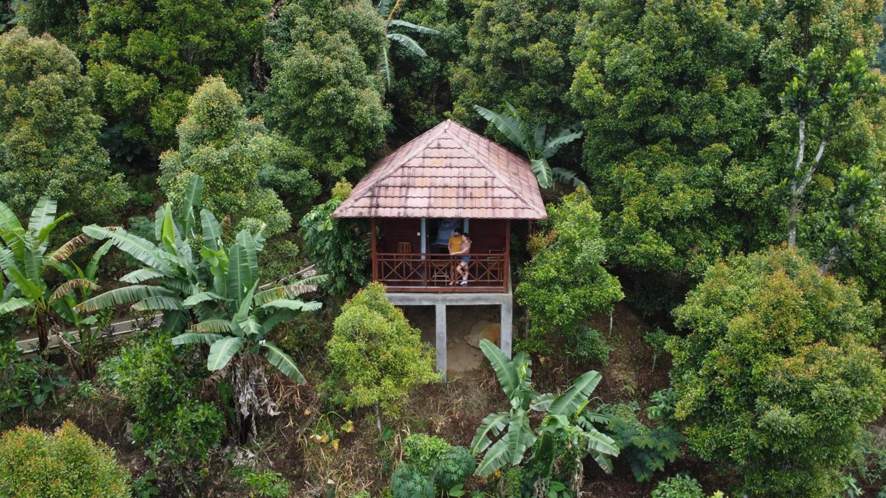 Munduk V View House view 2