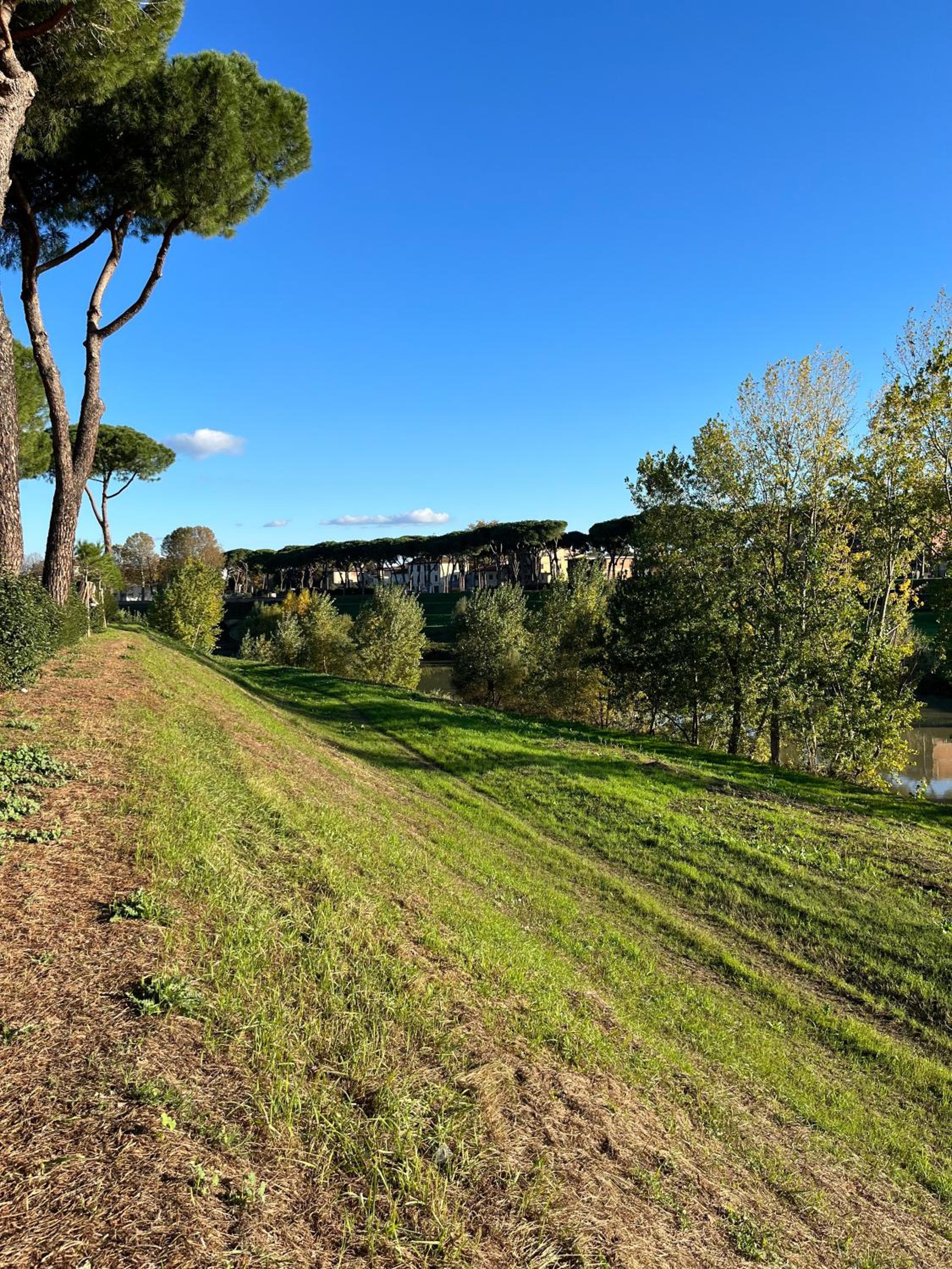 Casa Lungarno photo 3