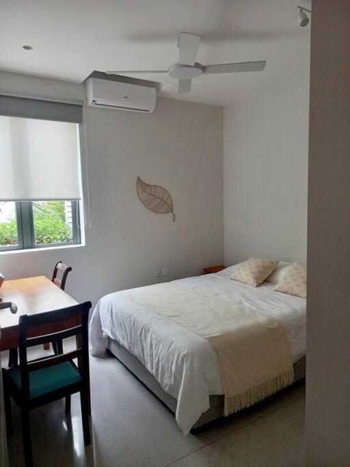 Beachfront Apartment view 5