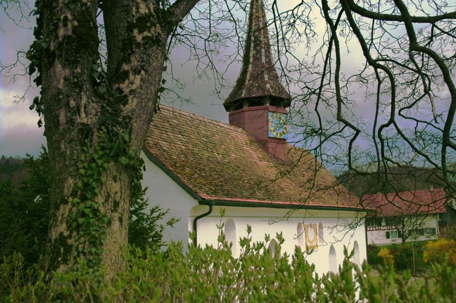 Photo 41