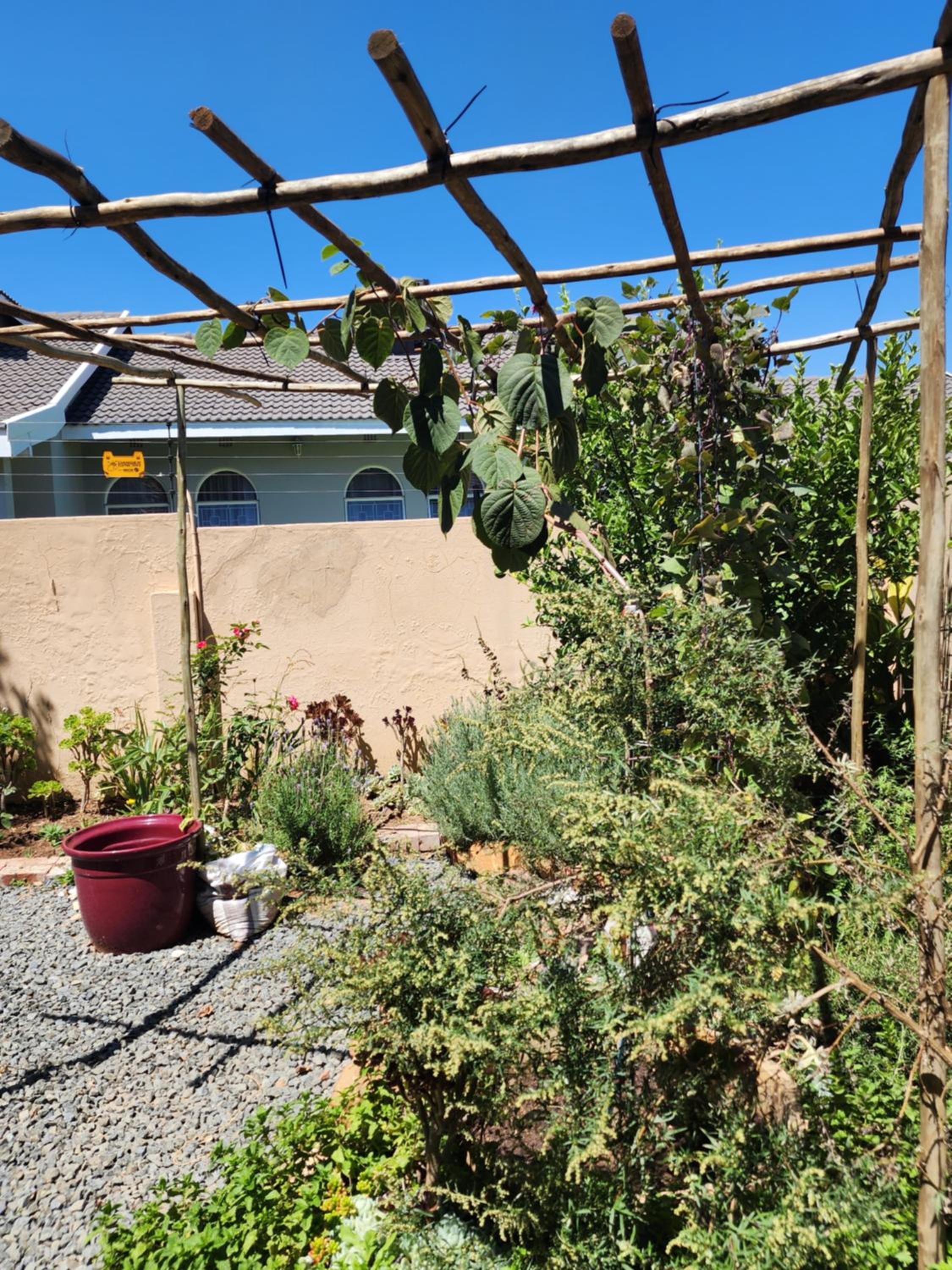 Photo 19