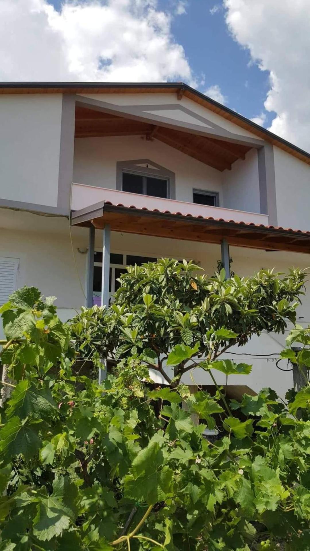 Wooden Guest House