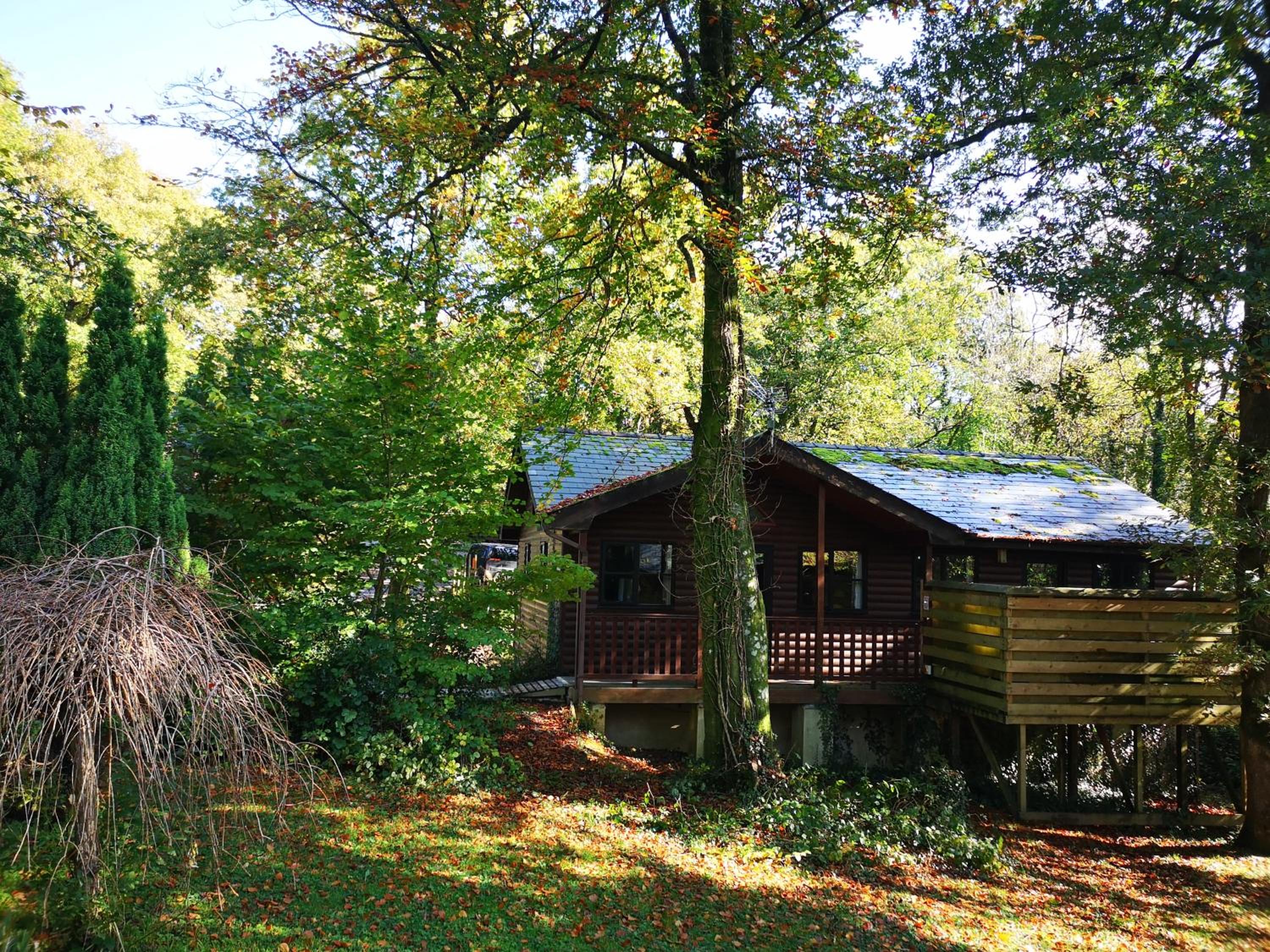 Hotel BlueBell 16-Hot Tub-Woodland Lodges-Pembrokeshire - Image 1
