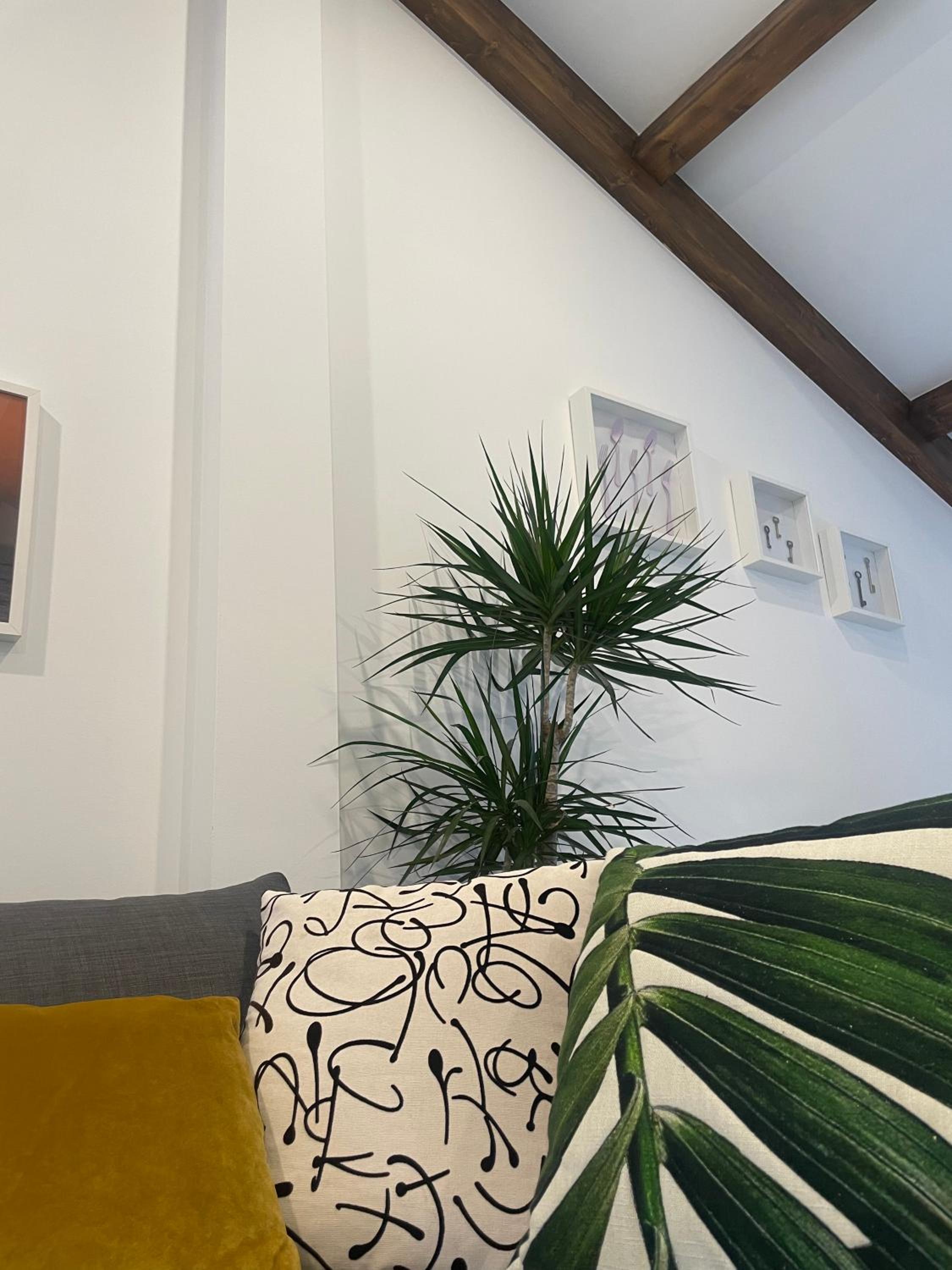 Marujita Vilanova, Boutique Lofts en el Centro Histórico