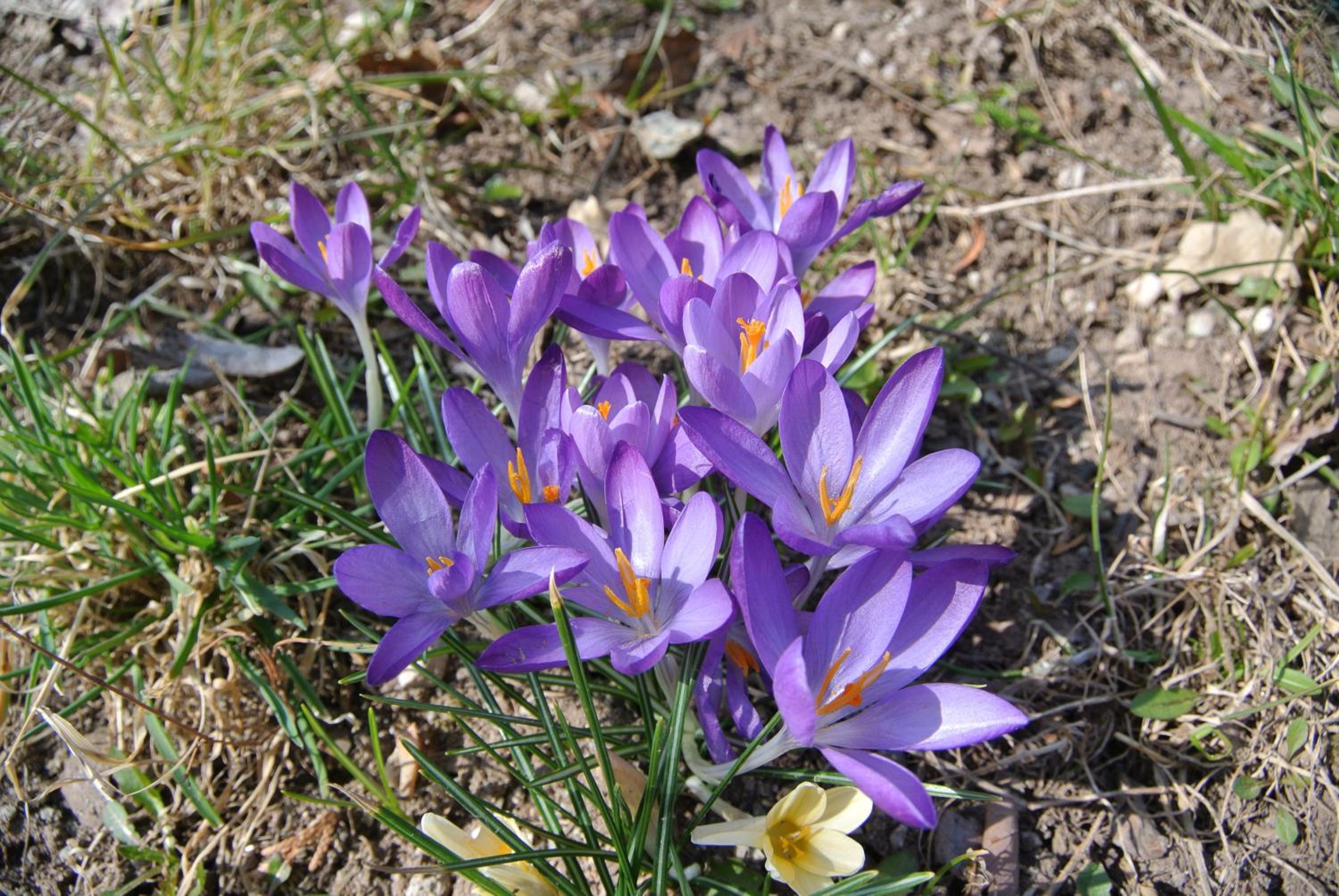 Photo 26