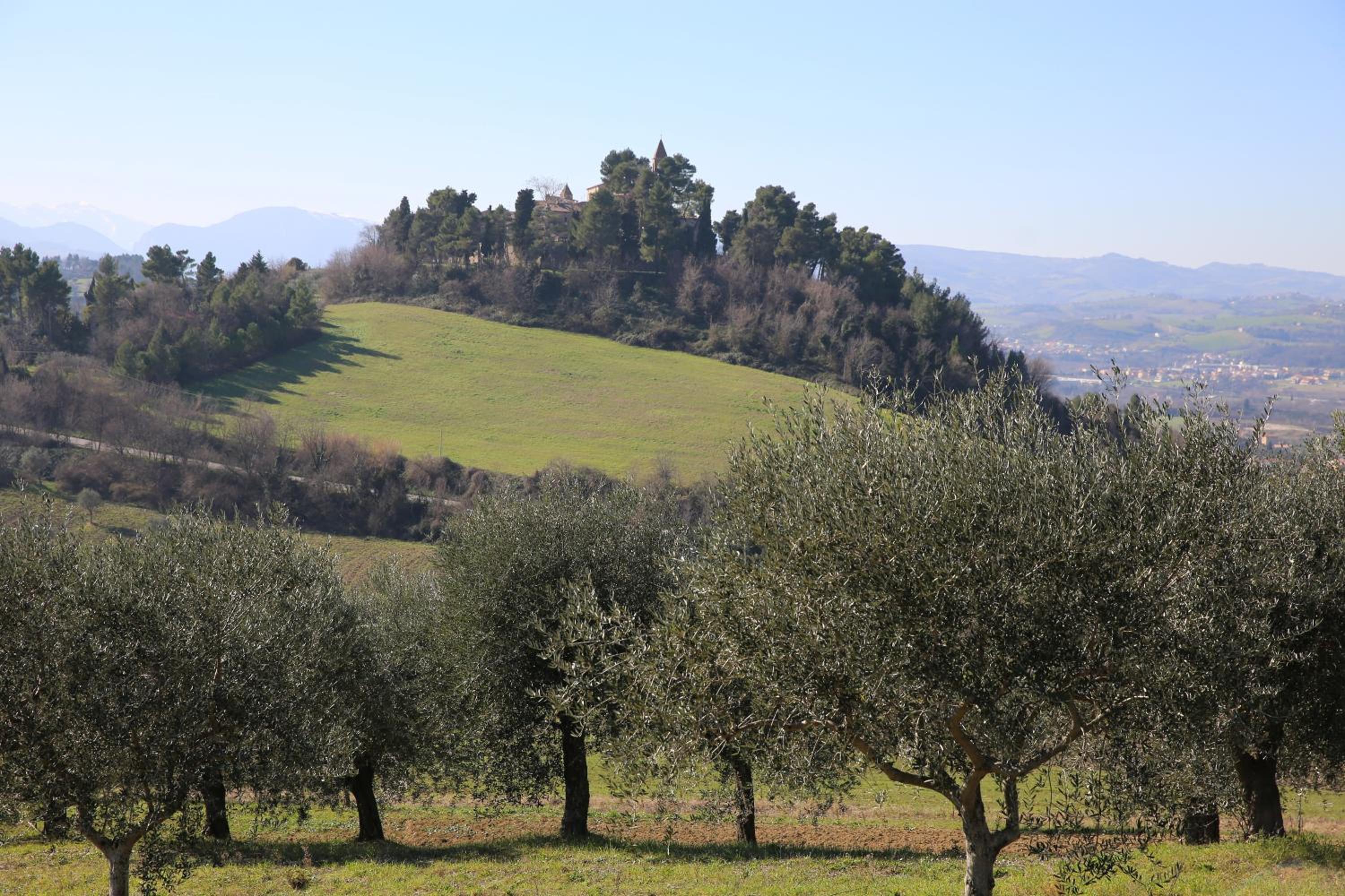 Villa Marietta Country House - Marche