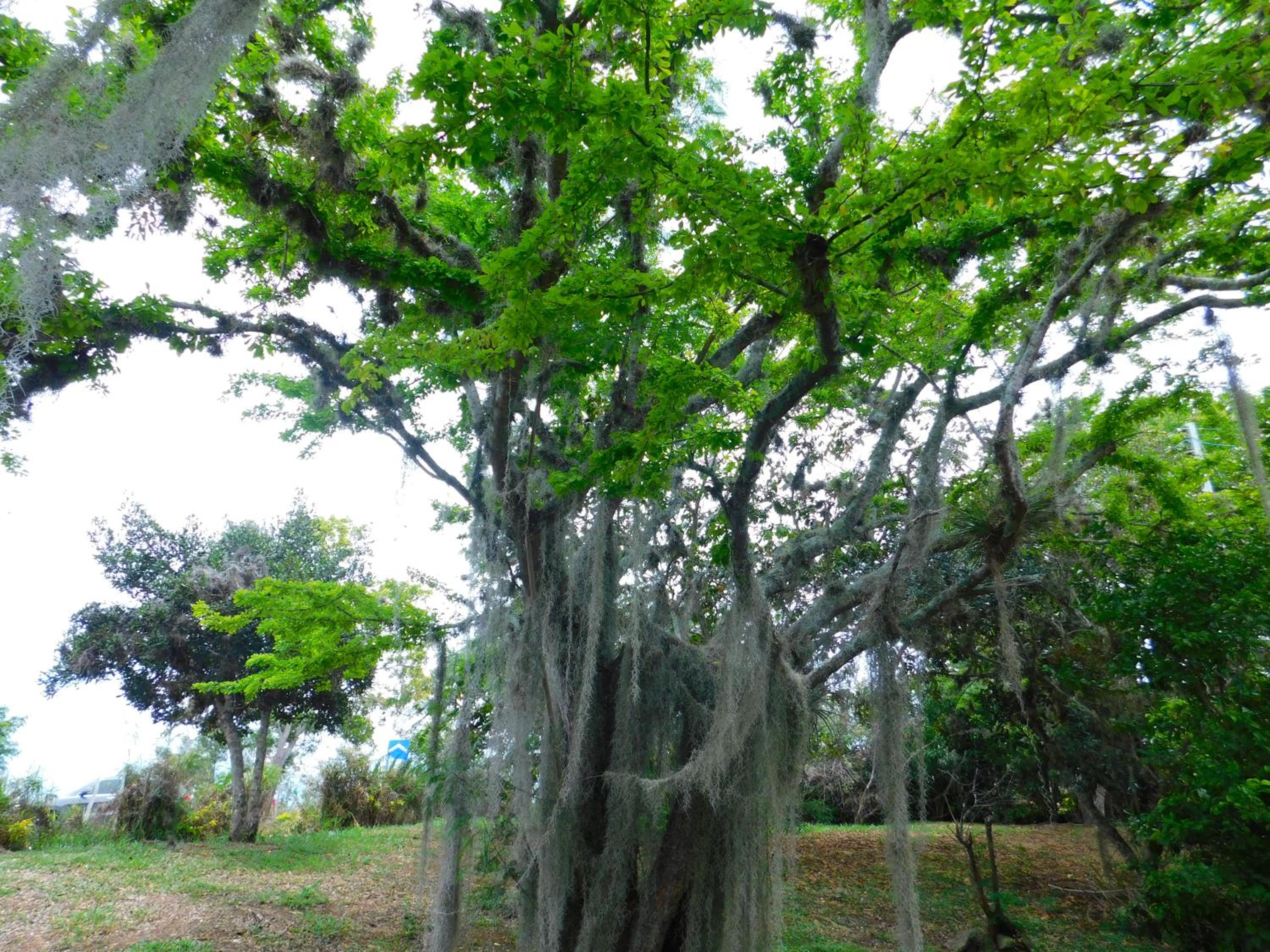Colinas de Barichara