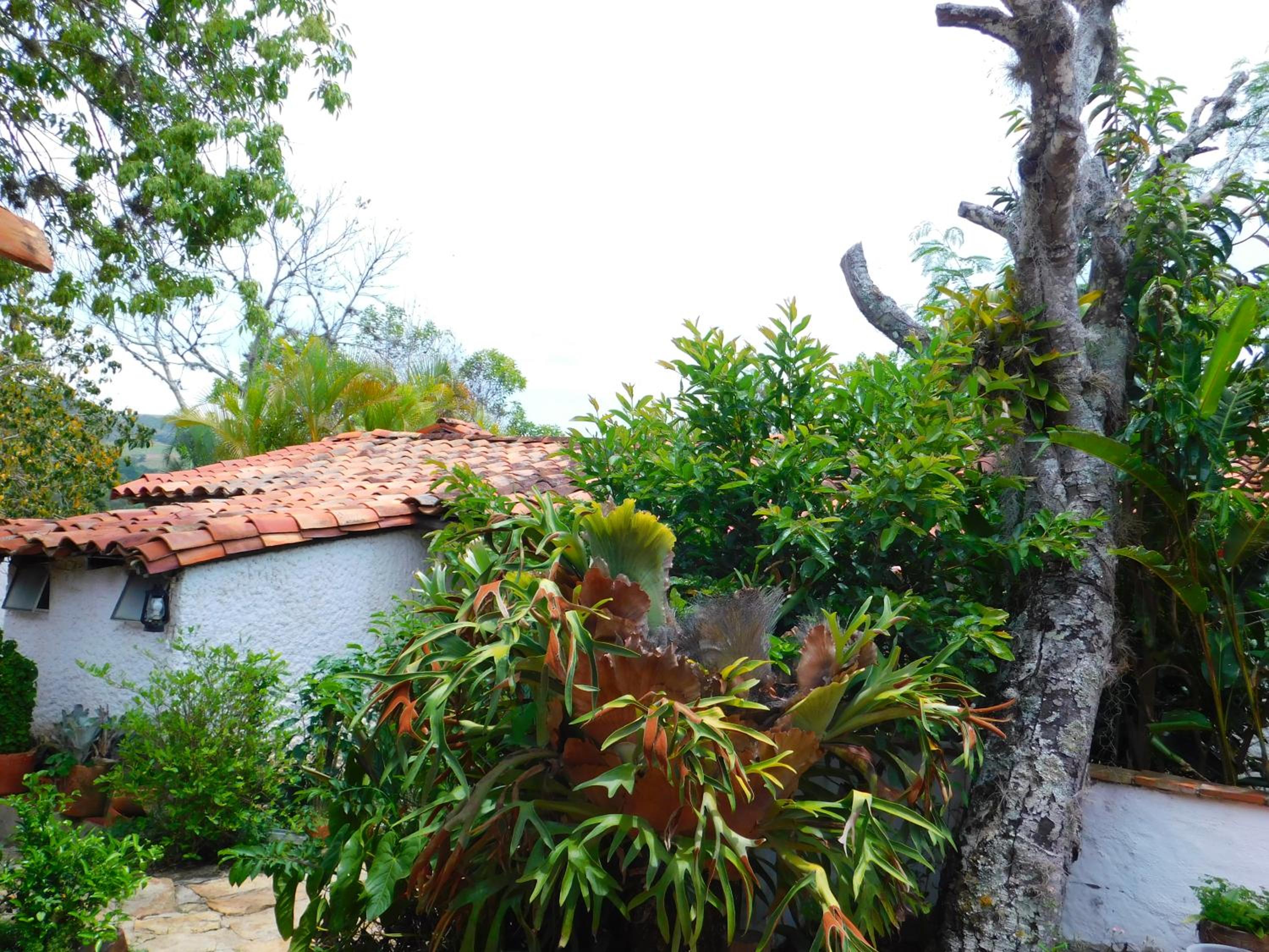 Colinas de Barichara