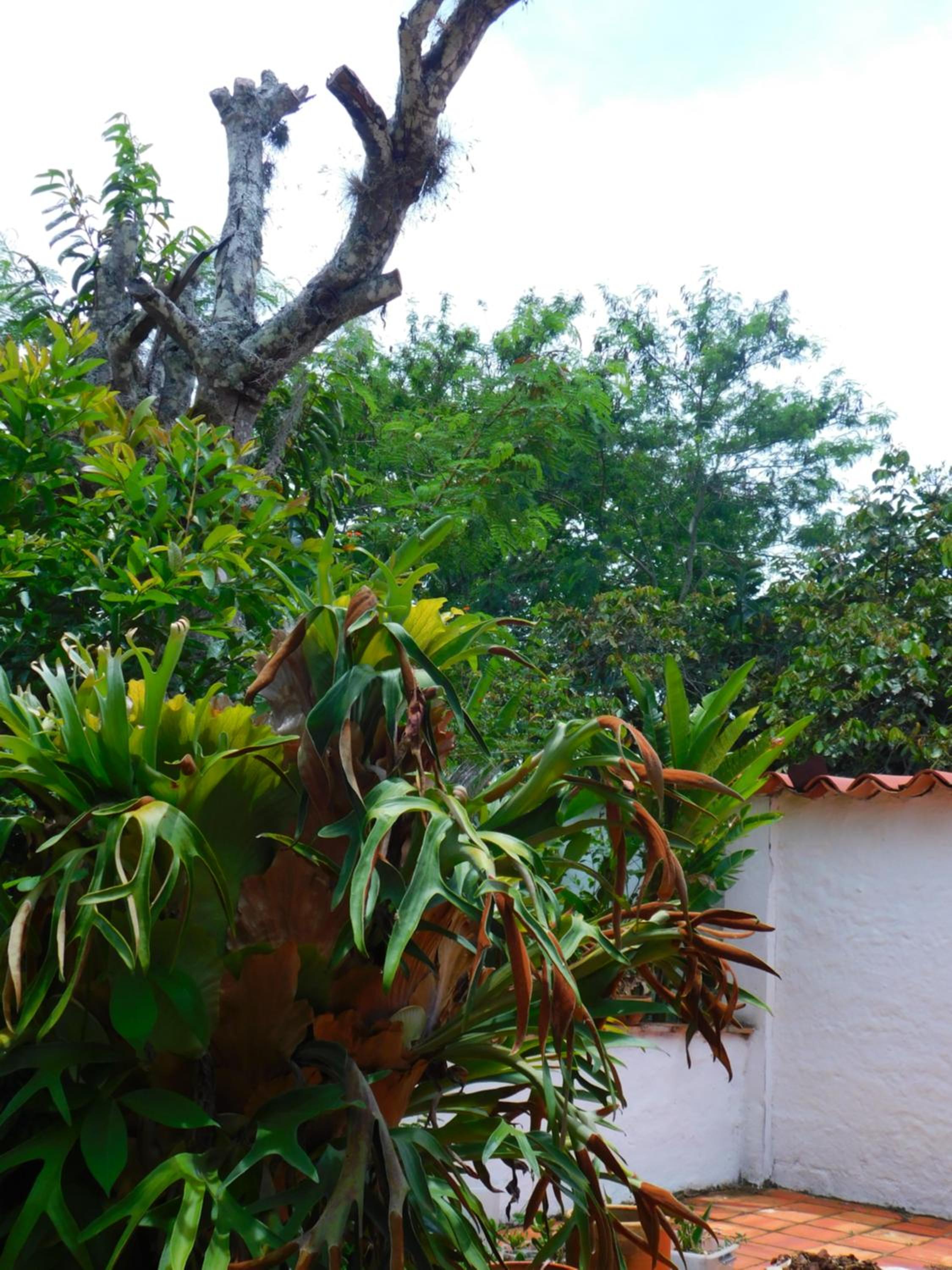 Colinas de Barichara