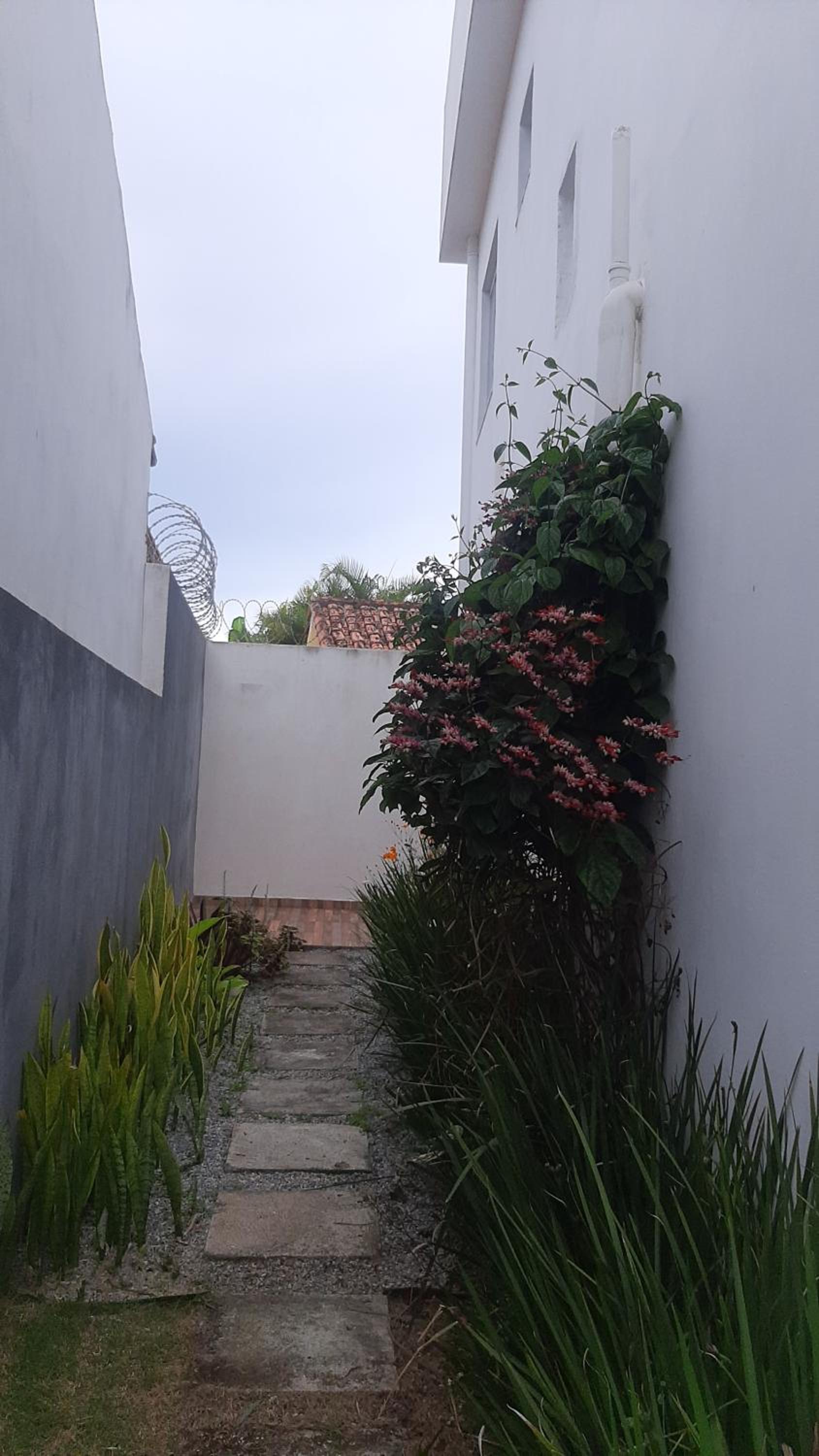 Paraíso do Peró