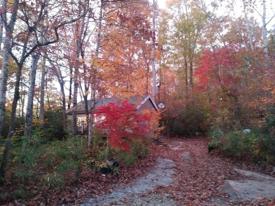 Two Rivers Cabins - The Dell view 2