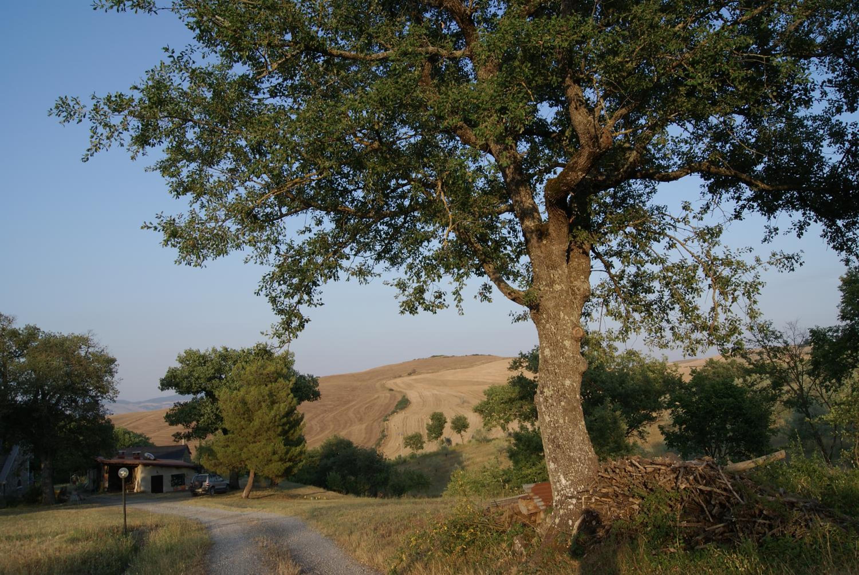 Podere Travagliola