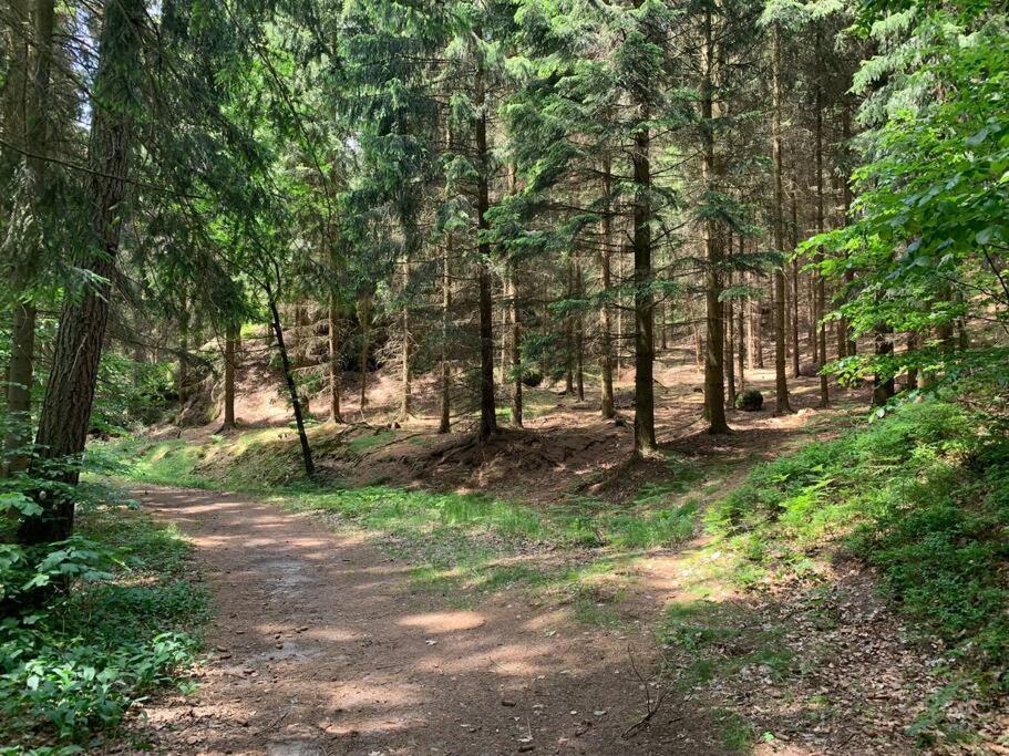 Wellness & Wirlpool-Oase am Wald - Waldferienhaus Dunja in Oybin