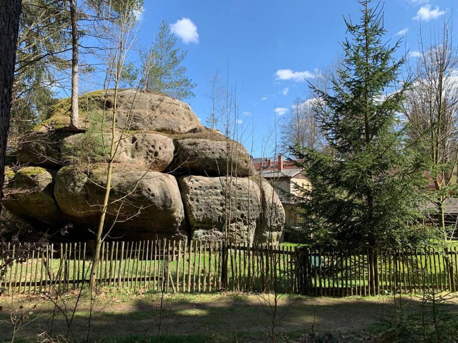 Wellness & Wirlpool-Oase am Wald - Waldferienhaus Dunja in Oybin