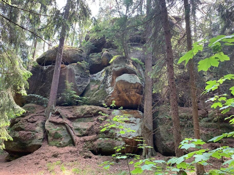 Wellness & Wirlpool-Oase am Wald - Waldferienhaus Dunja in Oybin