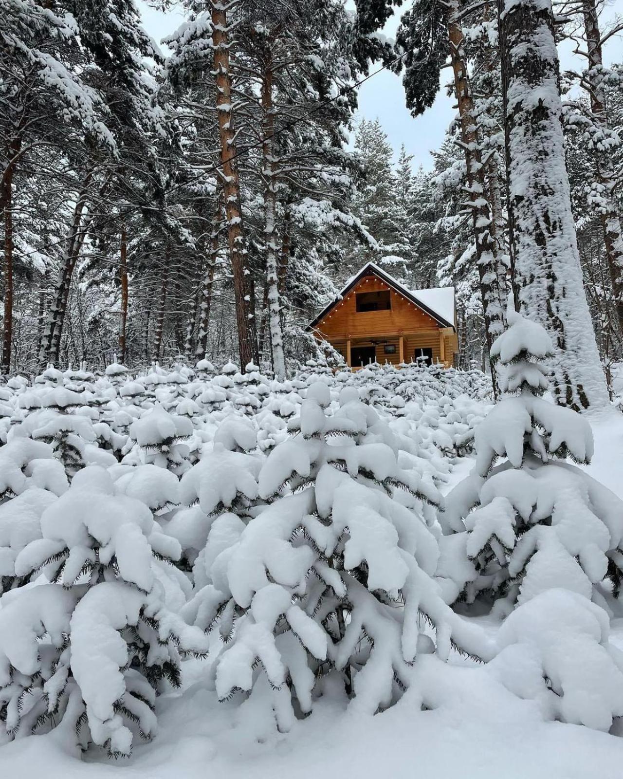 Yeghevni Rest House