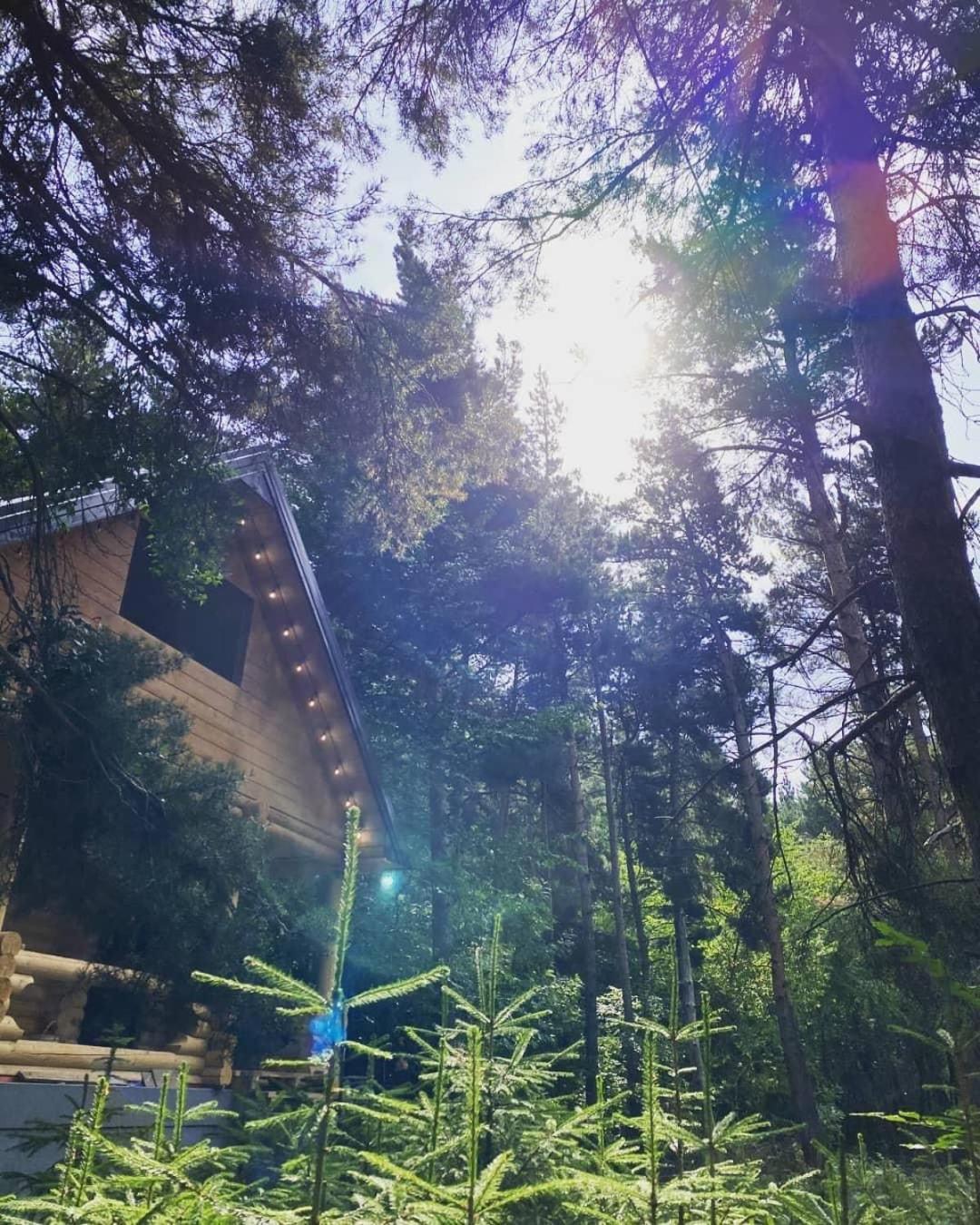 Yeghevni Rest House